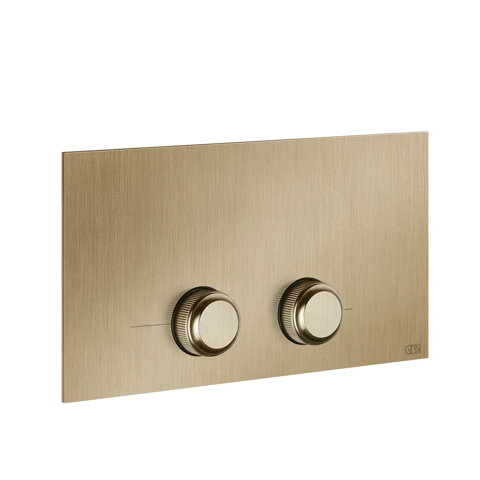 Gessi Flush Plate 54653