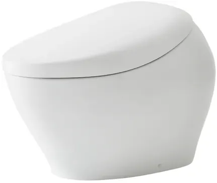 TOTO Neorest NXI Washlet and Water Closet Bowl ( S-Trap ) (305mm ) eWater 3.8L/3L ( Brushed Nickel ) CS900KVL#NW1