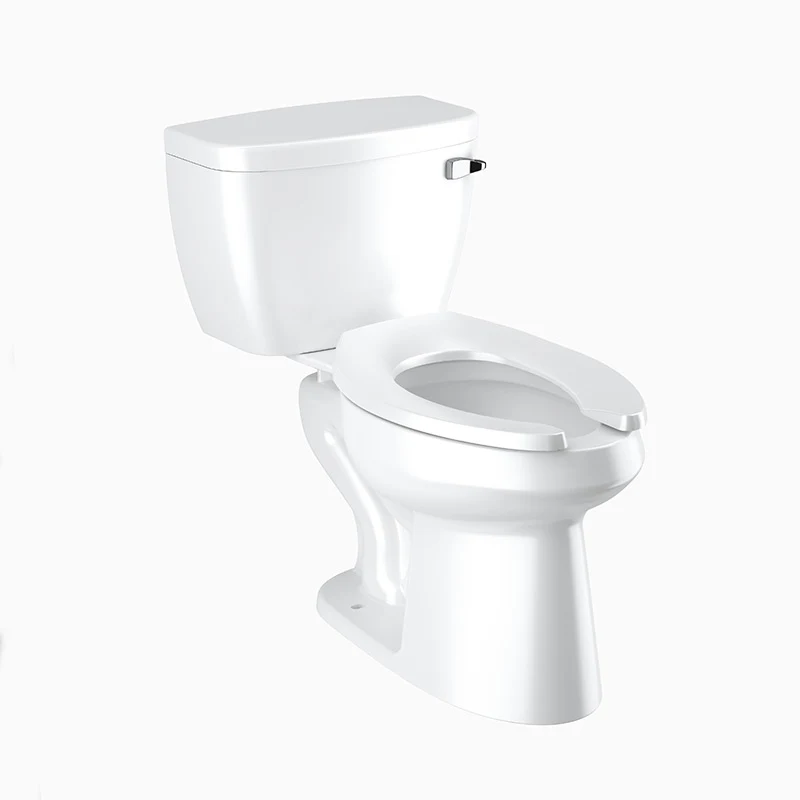 Sloan WETS-8029.8118 WETS-8029.8118