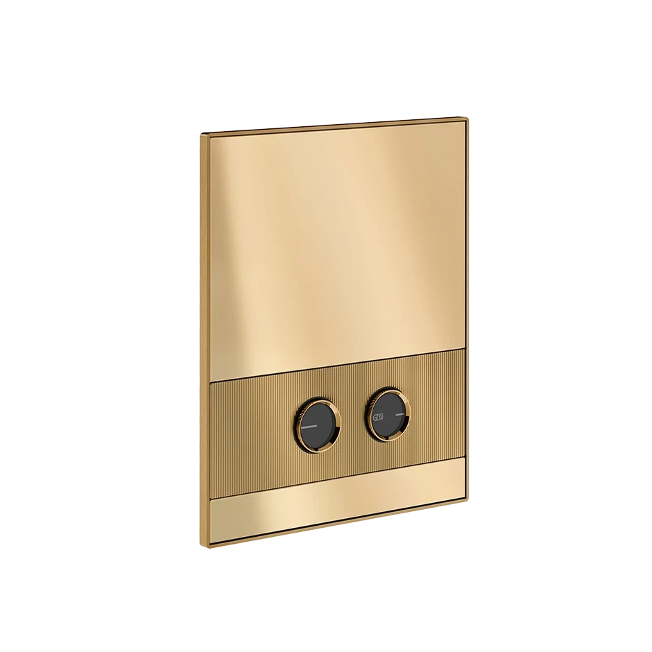 Gessi Flush Plate 56521