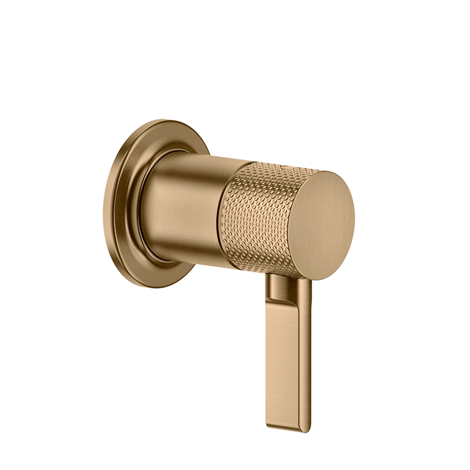 Gessi Separate Control 58109