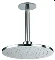 TOTO Ceiling Type Rain Head Shower (Round 220 mm DIA)( DBX103CRVGV1 ) DBX103CSVGV1