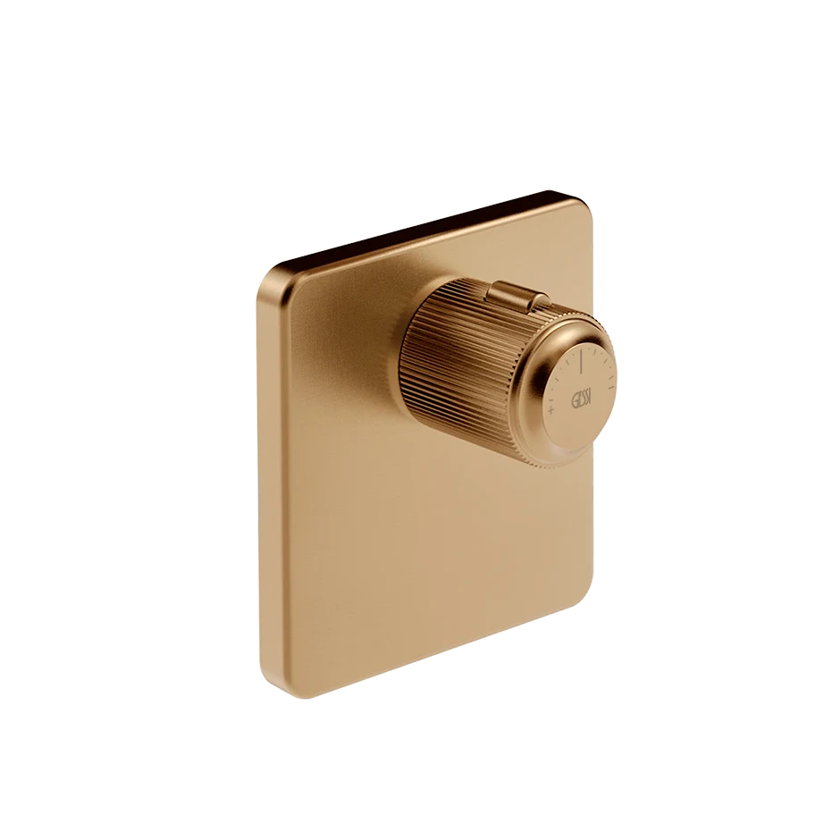 Gessi Shower Mixer 65316
