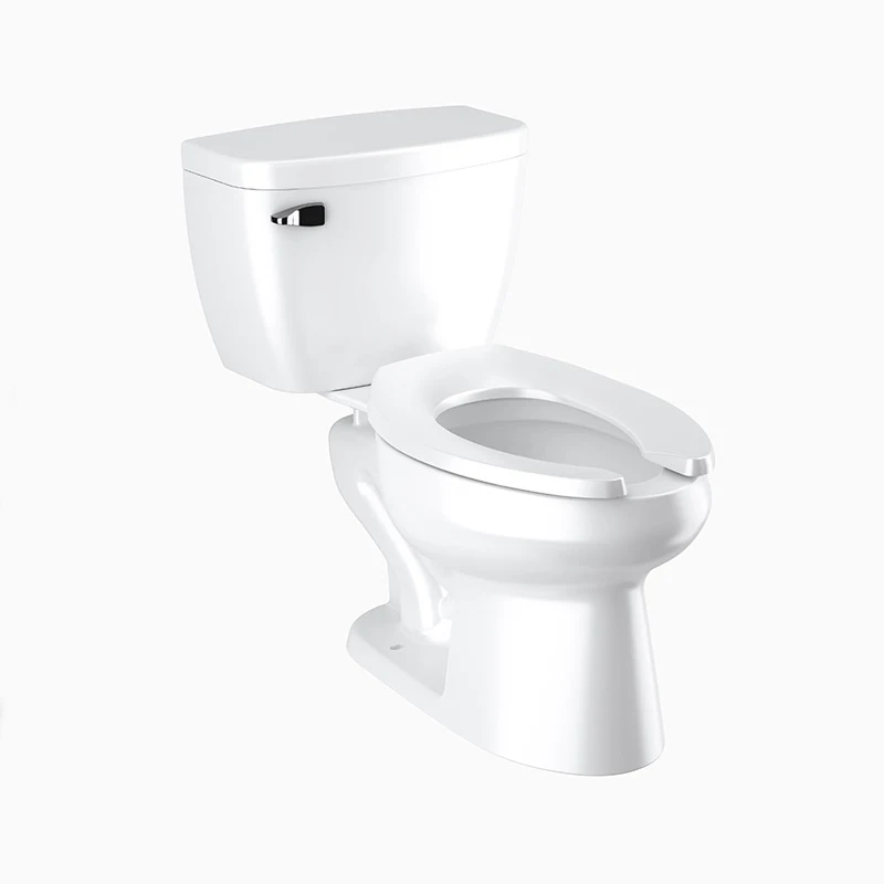 Sloan WETS-8009.8010 WETS-8009.8010