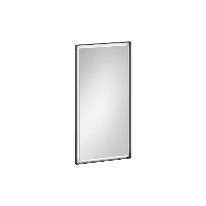 LAUFEN Mirror 50 × 100 cm