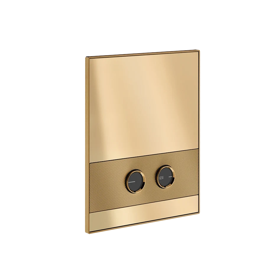 Gessi Flush Plate 56611