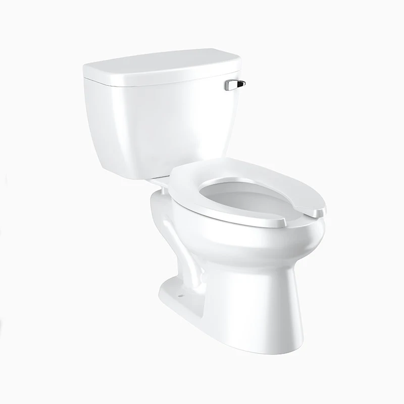 Sloan WETS-8009.8116 WETS-8009.8116