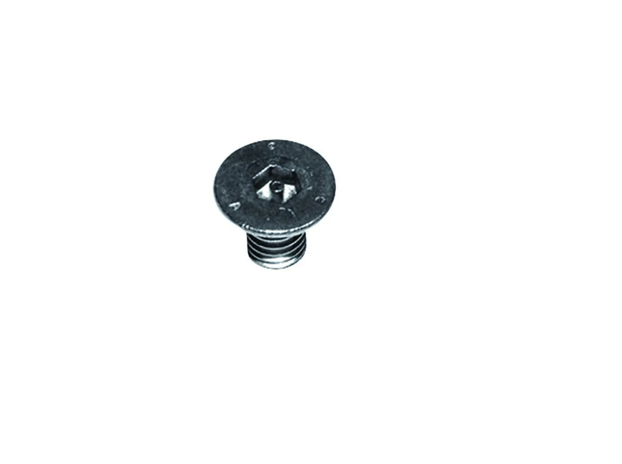 Dallmer Vandal resistant screws, 2 pieces, M 6 x 10 590220