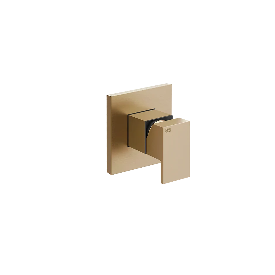 Gessi Separate Control 20119