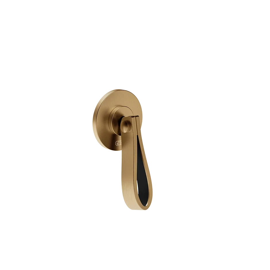 Gessi Separate Control 78309