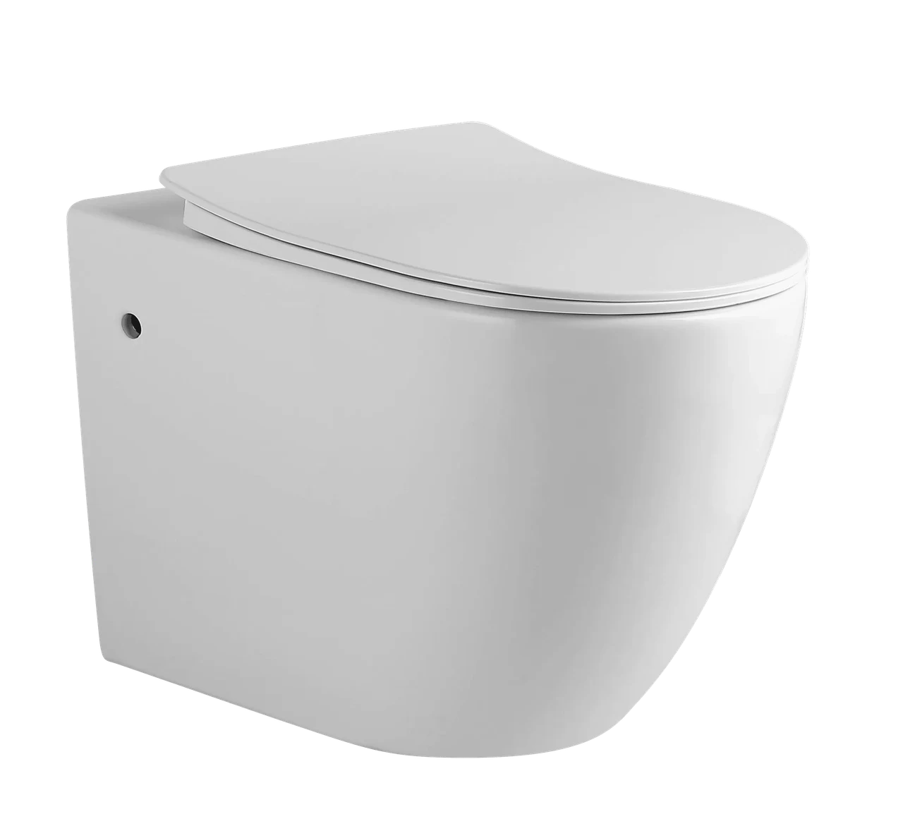 Oceandell Wall-hung Toilet – Open Piping Y33-555-9932