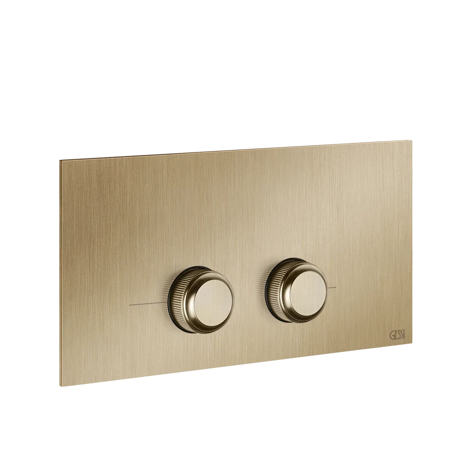 Gessi Flush Plate 54661