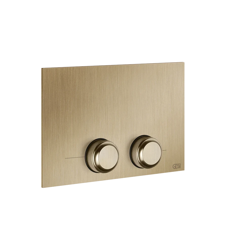 Gessi Flush Plate 54657