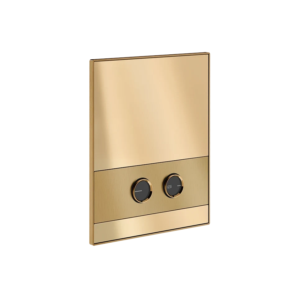 Gessi Flush Plate 56415