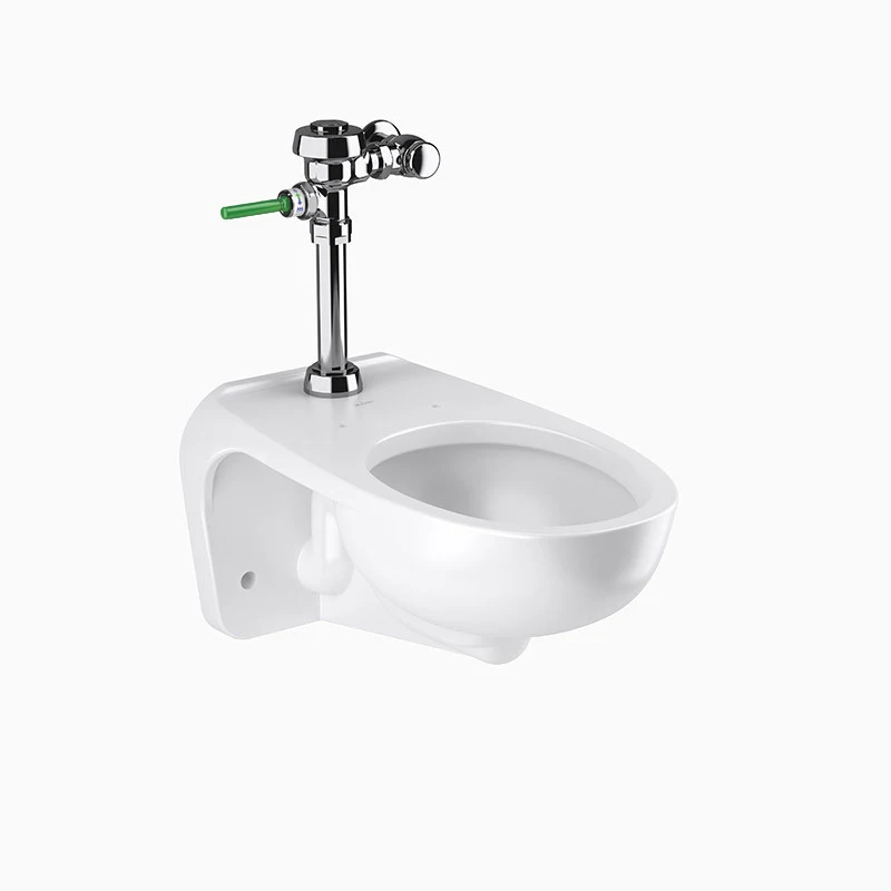 Sloan WETS-2752.1002 WETS-2752.1002