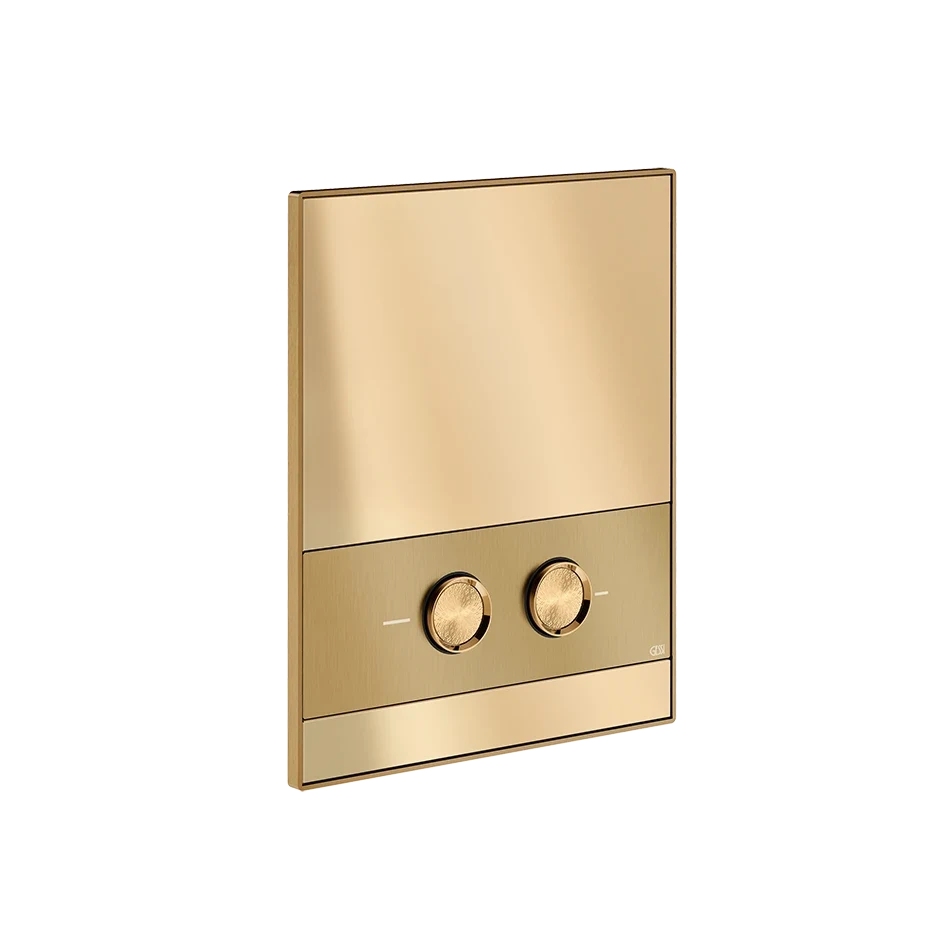 Gessi Flush Plate 76617
