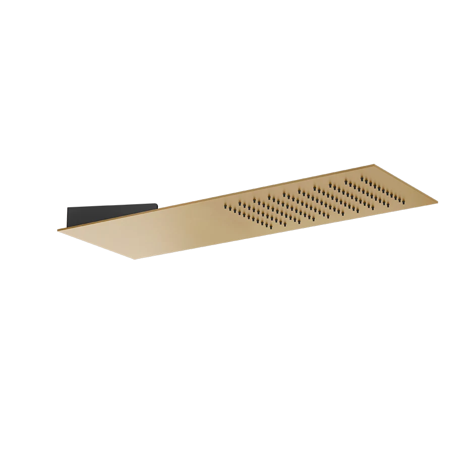 Gessi Showerhead 33061